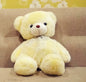 Yellow Cute Teddy Bear