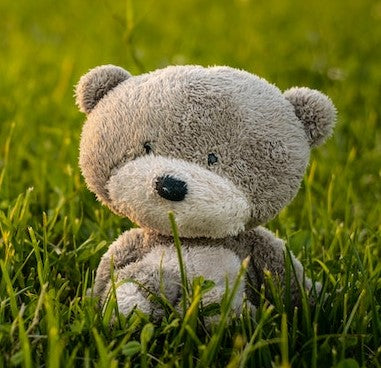 Teddy in Grass