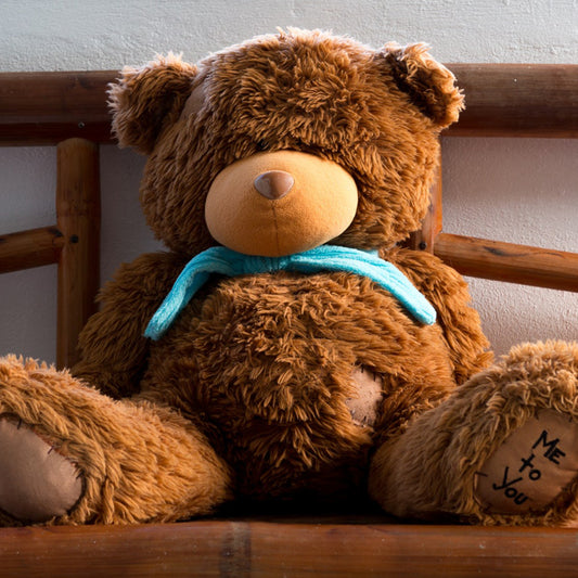 Brown Teddy